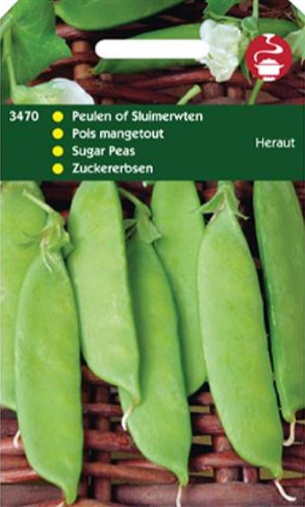 Zuckererbse Heraut (Pisum sativum) 400 Samen HT